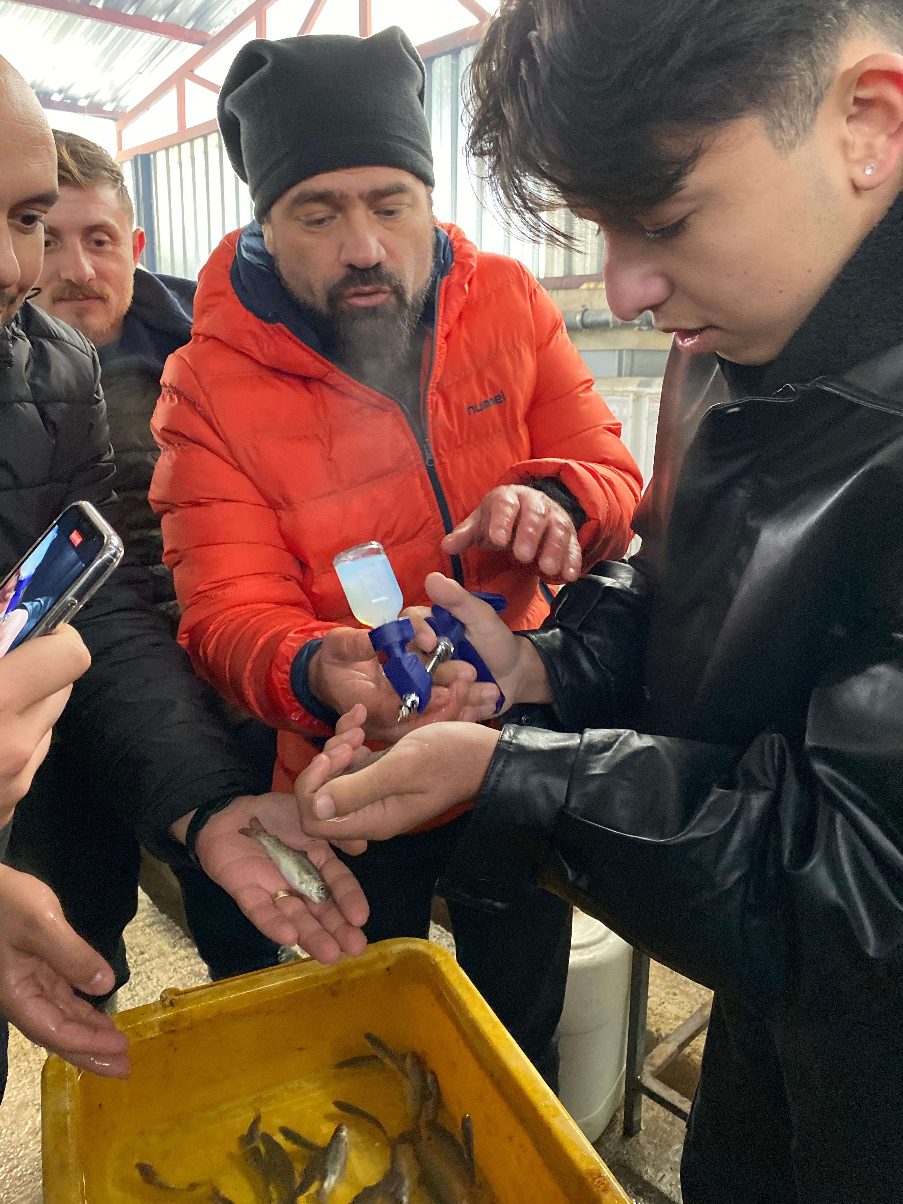 Veterinerlik Bölümü Öğrencileri Mesleki Uygulama Eğitimleri ( STA-GEN/Balık Çiftliği)