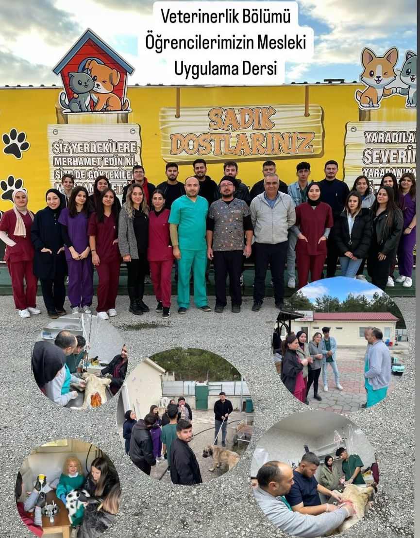 Veterinerlik Bölümü Öğrencileri Mesleki Uygulama Eğitimleri (Kastamonu Belediyesi Geçici Hayvan Bakımevi)